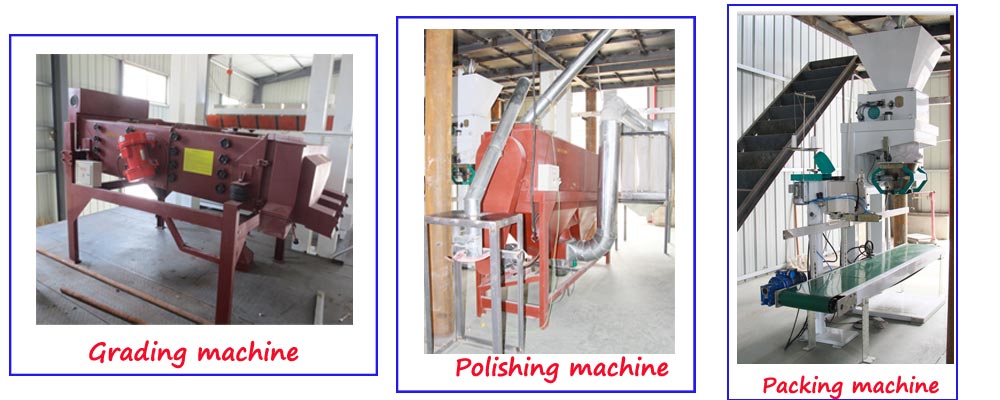 4TPH Lentil Processing Line