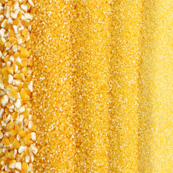 Corn peeled and further processed