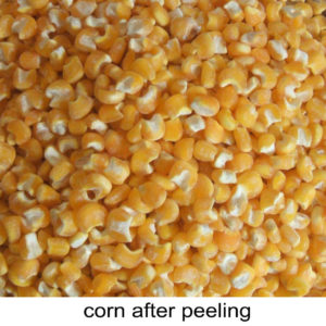 corn after peeling-