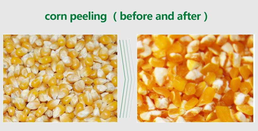 corn after peeling-