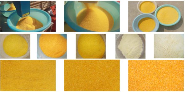 maize milling grits and flour