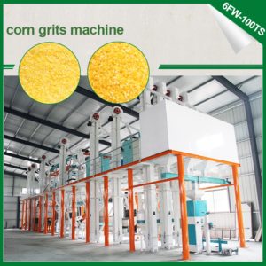 100TPD maize milling and packaging plant